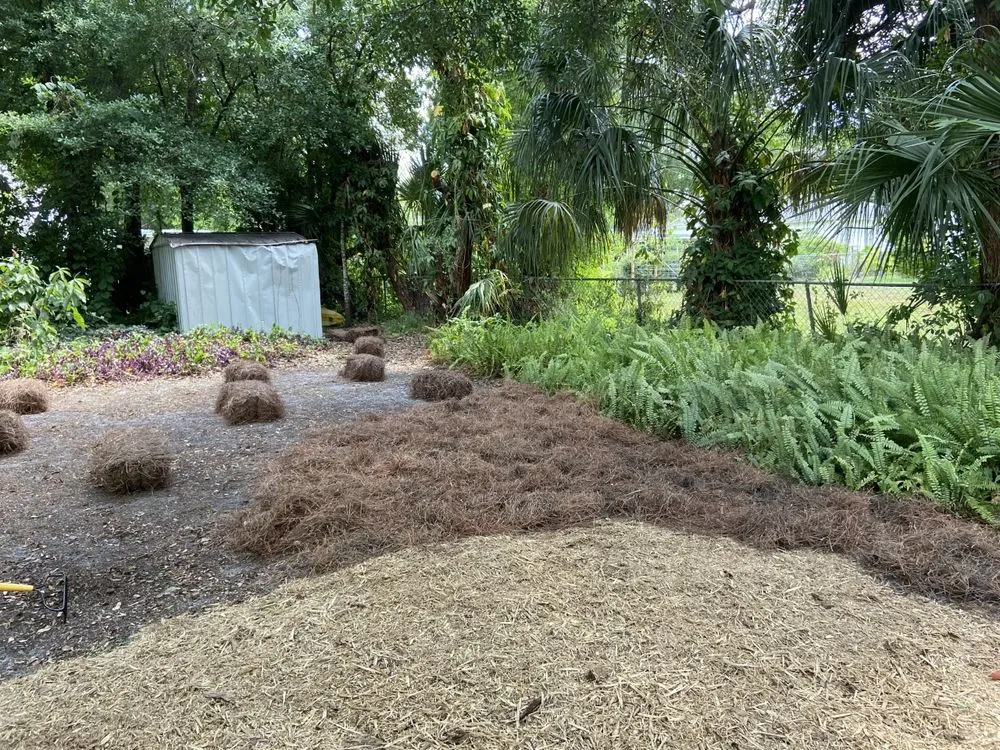 Reliable lawn care service for residential properties across Winter Park, FL - Today's Property Maintenance