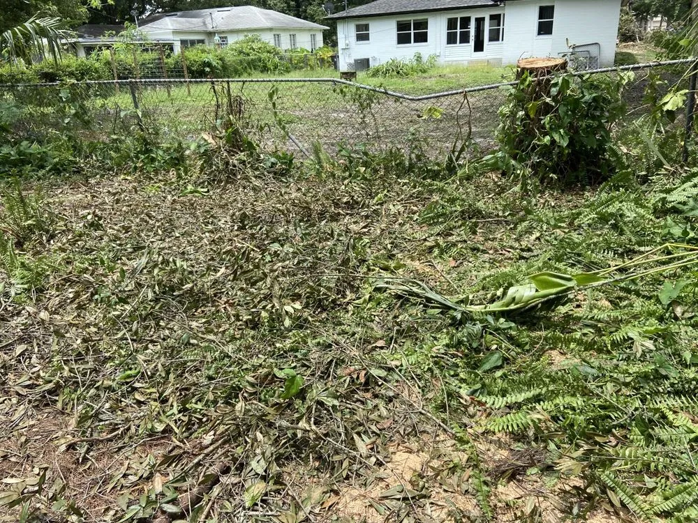 Affordable landscaping services for outdoor upgrades across Winter Park, FL - Today's Property Maintenance