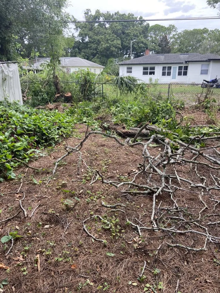 Professional outdoor landscaping in Winter Park, FL - Today's Property Maintenance