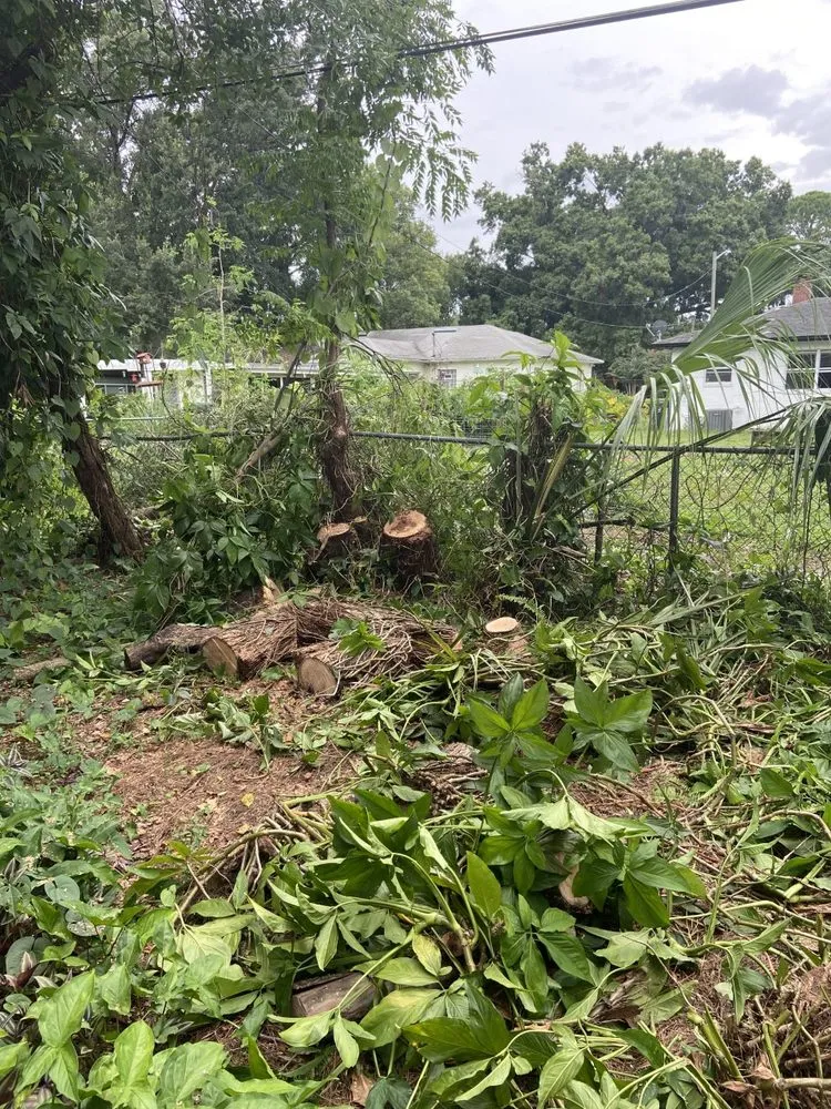 Expert yard cleanup service experts serving Winter Park, FL - Today's Property Maintenance