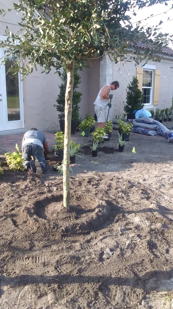 Professional landscaping services in Winter Park, FL by Today's Property Maintenance