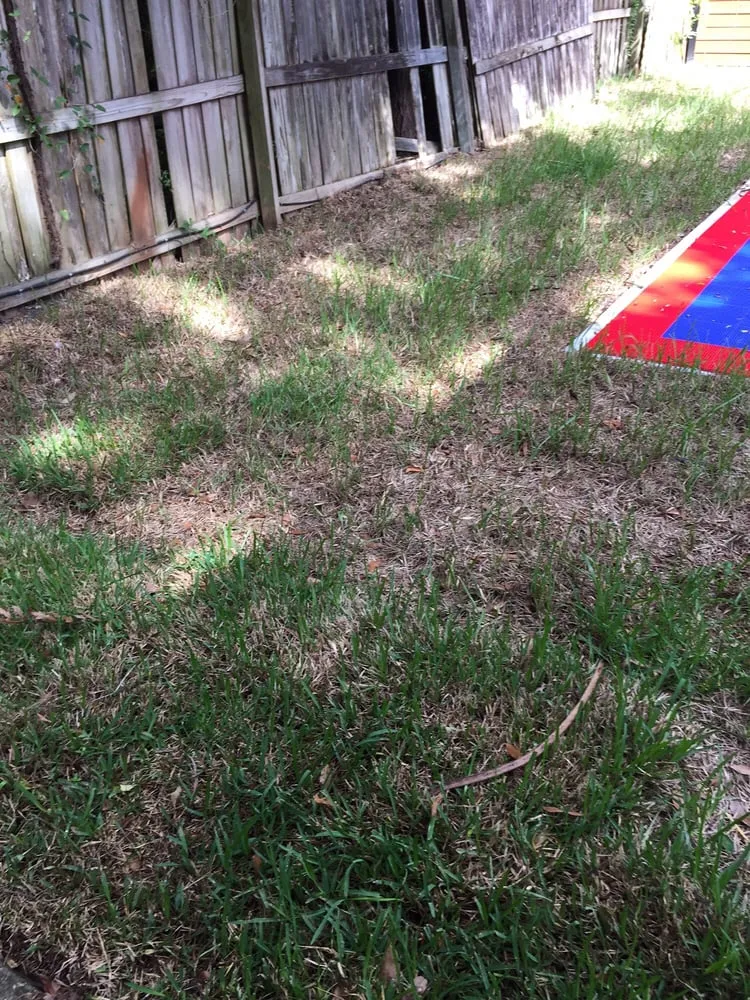 Reliable landscape design in Winter Park, FL by Today's Property Maintenance