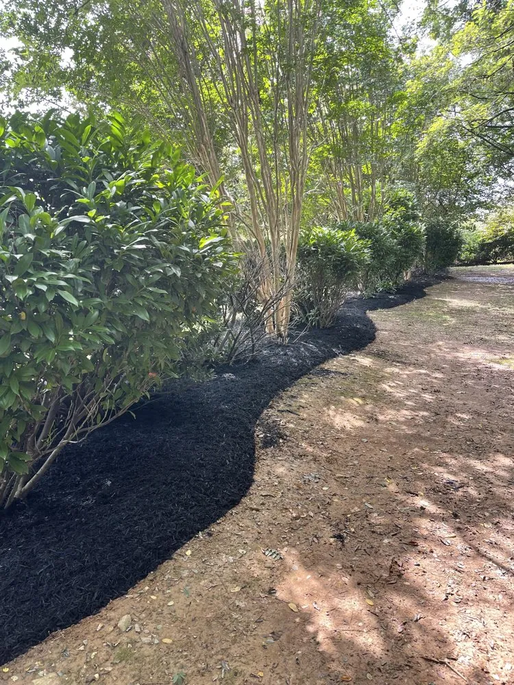 Reliable yard cleanup service in Bel Air, MD - Todd Alexander’s Outdoor Services