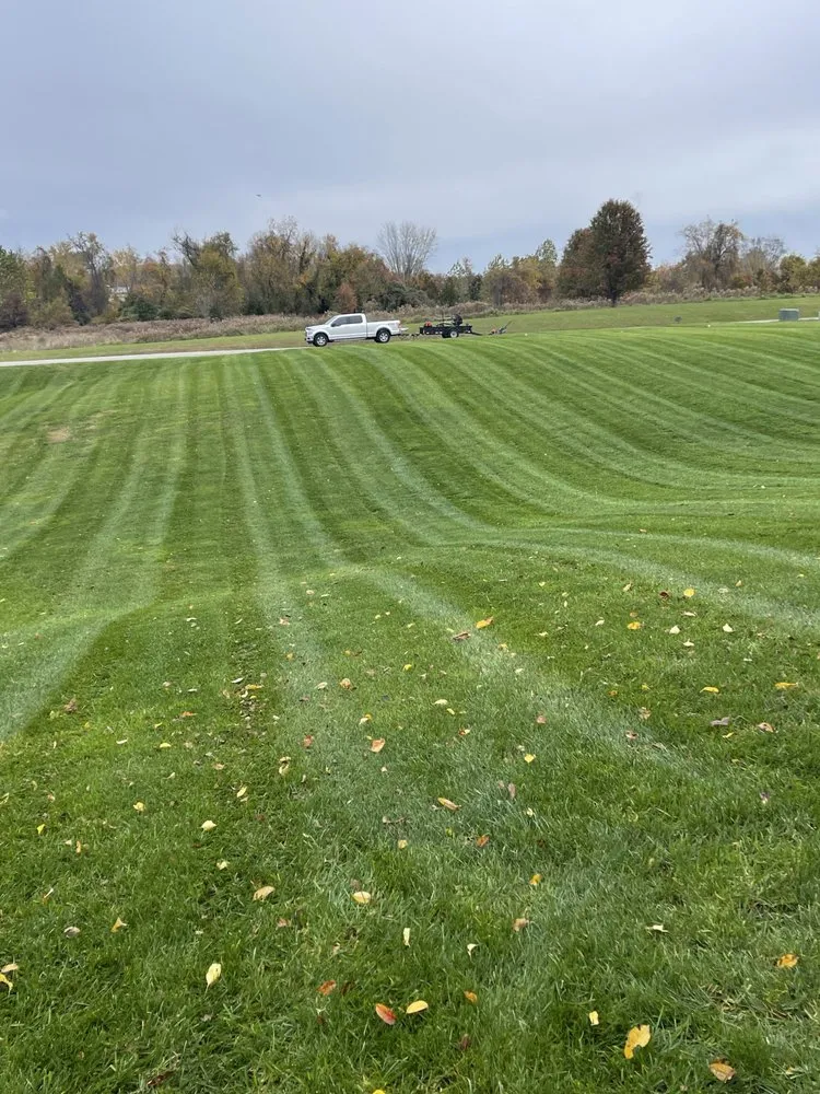 Trusted yard cleanup service for homes across Bel Air, MD - Todd Alexander’s Outdoor Services