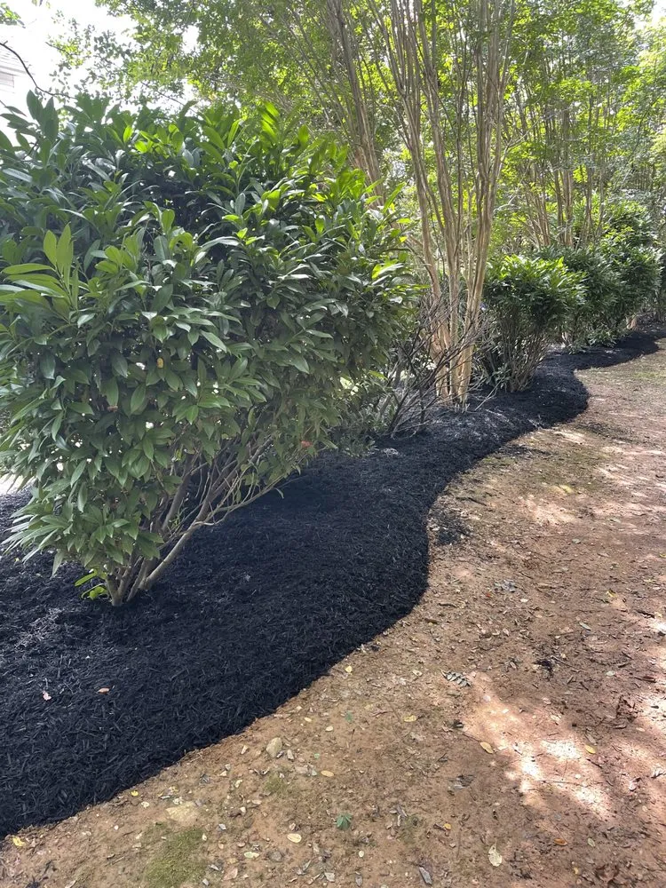 Professional landscape design experts serving Bel Air, MD - Todd Alexander’s Outdoor Services