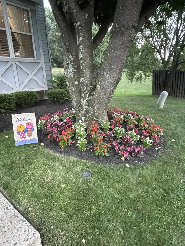 Expert residential landscaping for beautiful yards across Bel Air, MD - Todd Alexander’s Outdoor Services