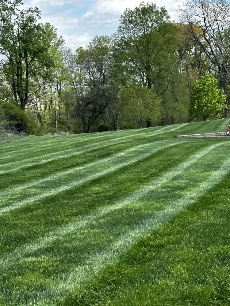 Custom landscape installation in Bel Air, MD by Todd Alexander’s Outdoor Services