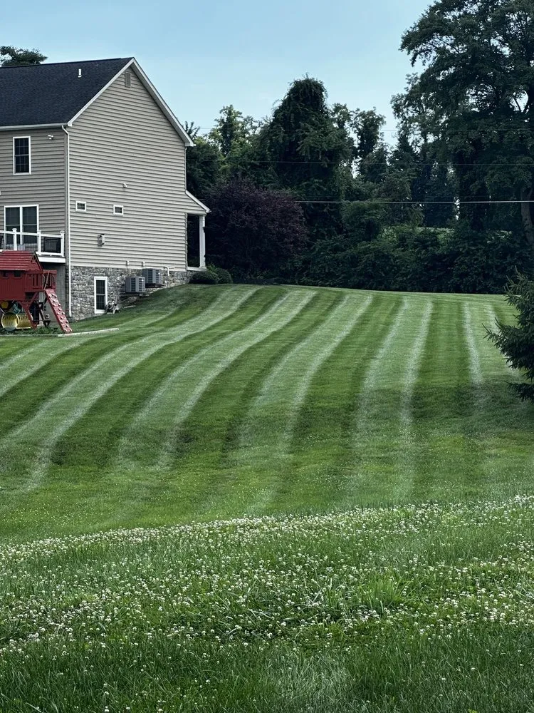 Affordable landscaping services in Bel Air, MD - Todd Alexander’s Outdoor Services