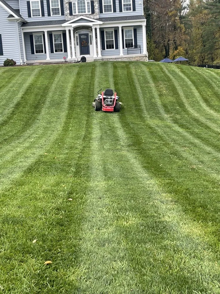 Expert residential landscaping in Bel Air, MD by Todd Alexander’s Outdoor Services