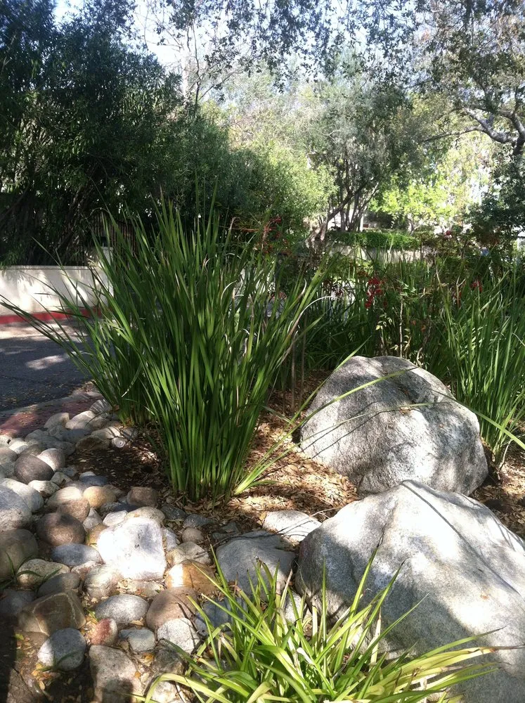 Professional landscaping services experts serving Alhambra, CA - Todd Harris Landscape And Garden