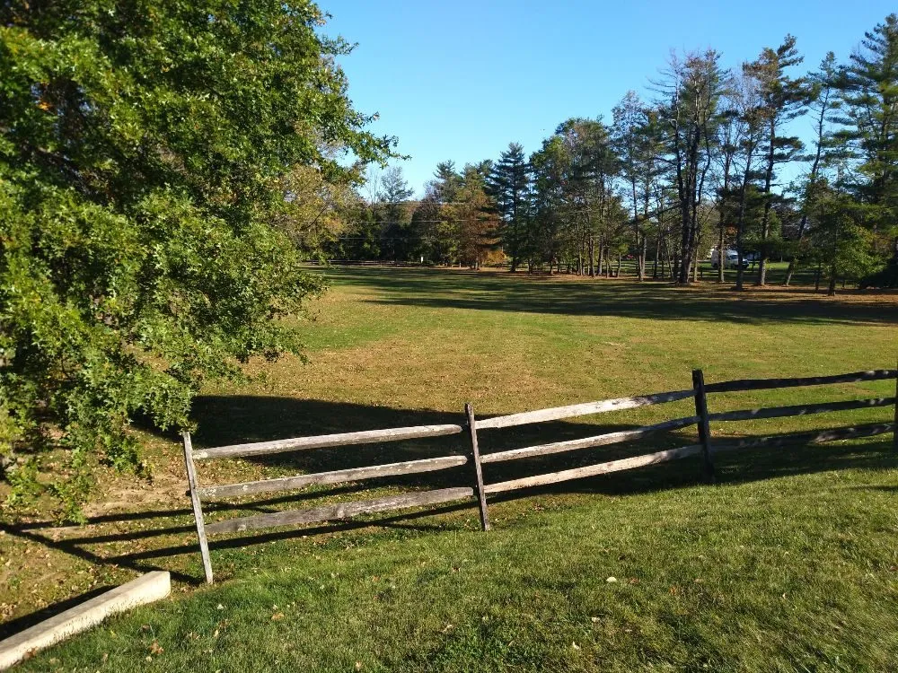 Professional yard maintenance in Quakertown, PA - Todd Hinkle Landscaping