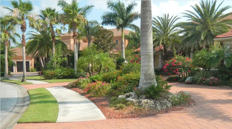 Top-rated outdoor landscaping experts serving Sarasota, FL - Todd Patton Lawn Maintenance & Landscaping