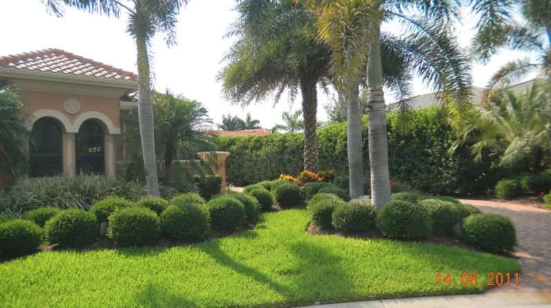 Top-rated yard maintenance in Sarasota, FL by Todd Patton Lawn Maintenance & Landscaping