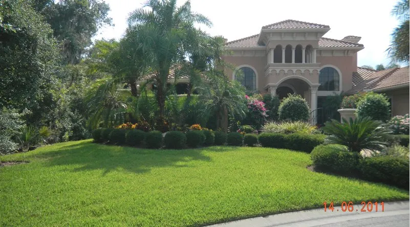 Trusted yard cleanup service for year-round maintenance across Sarasota, FL - Todd Patton Lawn Maintenance & Landscaping