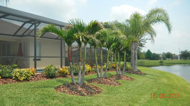 Top-rated outdoor landscaping for beautiful yards across Sarasota, FL - Todd Patton Lawn Maintenance & Landscaping
