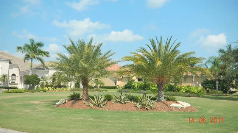 Top-rated lawn care service experts serving Sarasota, FL - Todd Patton Lawn Maintenance & Landscaping