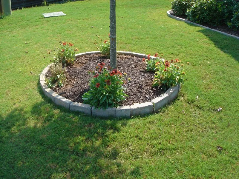 Trusted yard cleanup service experts serving Greenville, SC - Todd Rudisill, Inc. Landscaping & Design