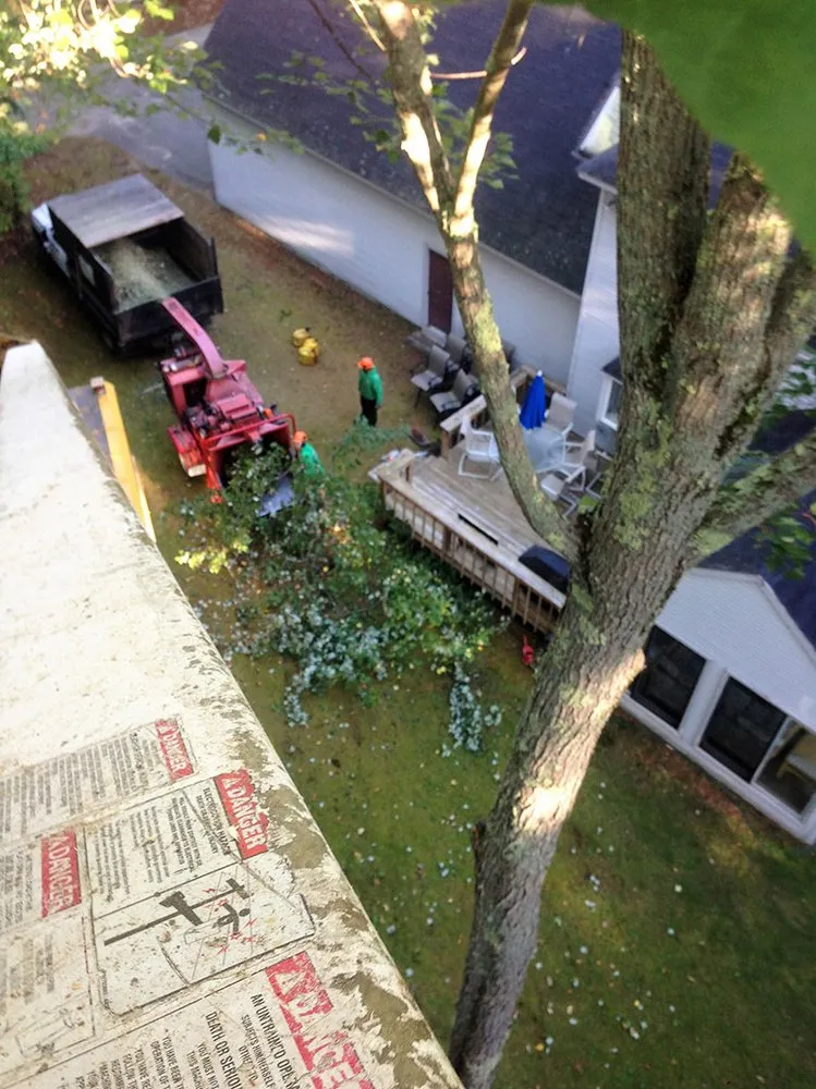 Professional landscape design for beautiful yards in Mont Vernon, NH by Todd Wilkins Tree & Landscaping Services