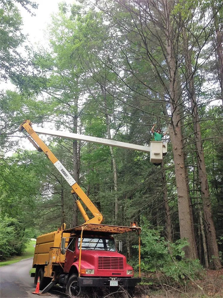 Trusted garden landscaping for residential properties across Mont Vernon, NH - Todd Wilkins Tree & Landscaping Services