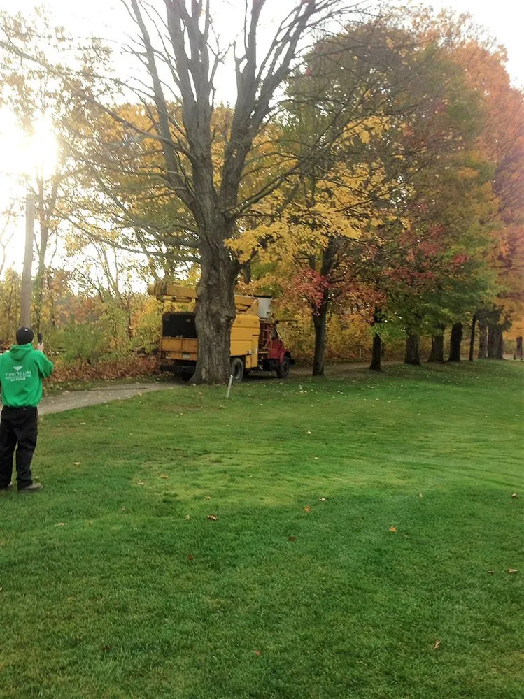 Affordable landscaping services in Mont Vernon, NH - Todd Wilkins Tree & Landscaping Services