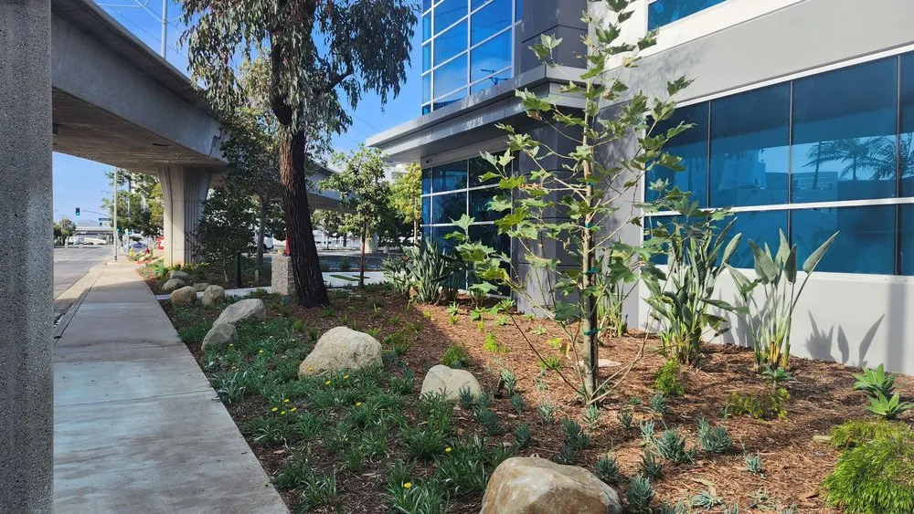 Reliable lawn care service with custom design in Inglewood, CA by Toddco Landscaping