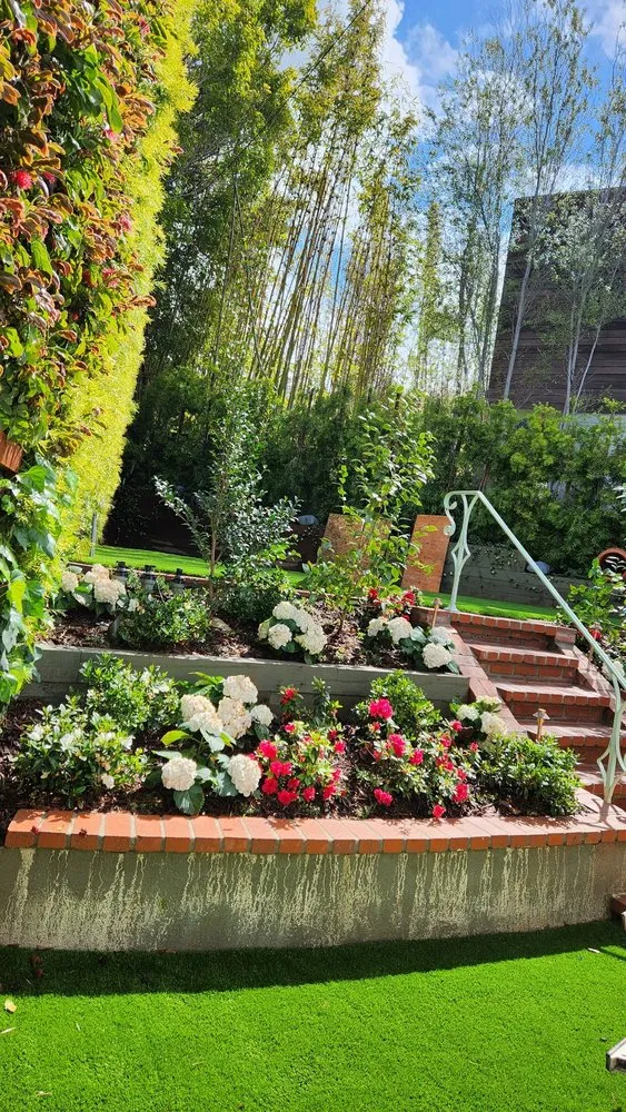 Expert landscaping services in Inglewood, CA - Toddco Landscaping