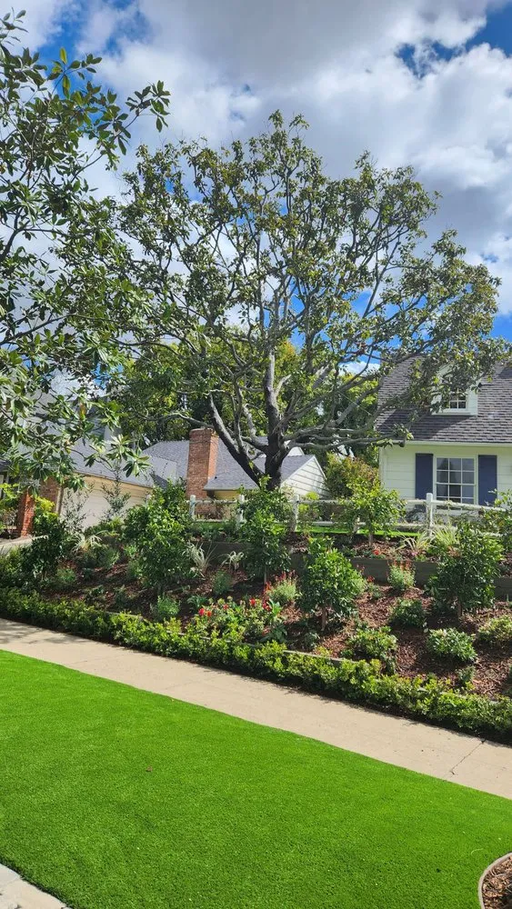 Expert yard maintenance in Inglewood, CA by Toddco Landscaping