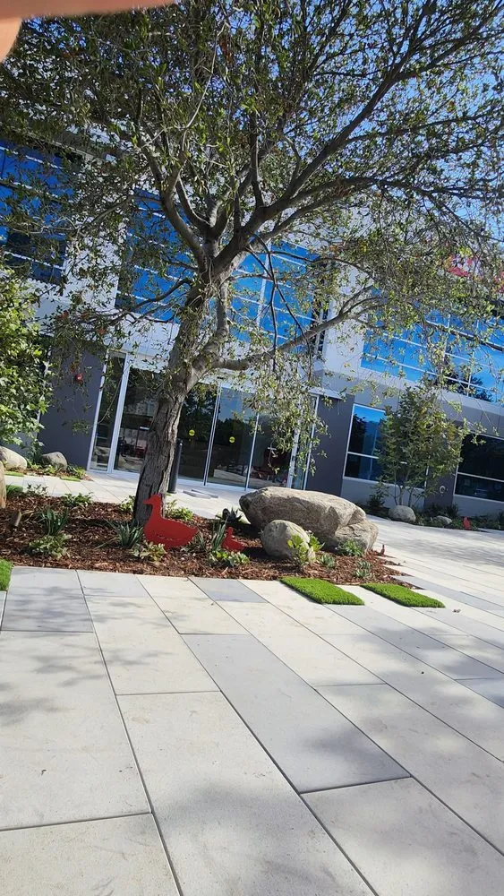 Custom yard maintenance for beautiful yards across Inglewood, CA - Toddco Landscaping