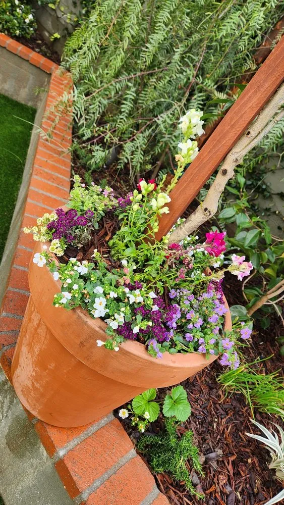 Reliable lawn mowing service in Inglewood, CA by Toddco Landscaping