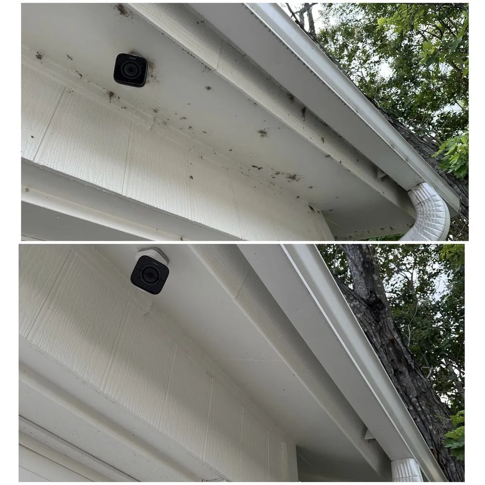 Local landscaping services with custom design in Killeen, TX by Todd’s Cleaning Services