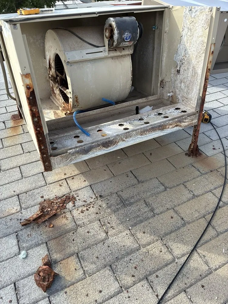 Trusted lawn mowing service in Alamogordo, NM by Todd’s Handyman Lawn and Tree Services