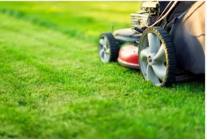 Top-rated outdoor landscaping for year-round maintenance across Chattanooga, TN - Todds Landscape