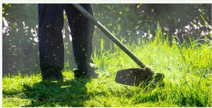 Top-rated yard cleanup service in Chattanooga, TN by Todds Landscape