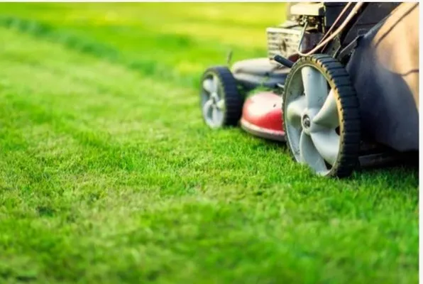 Todds Landscape Logo