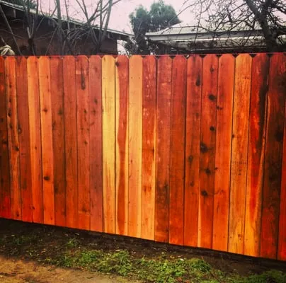 Todd's Landscape Services Logo