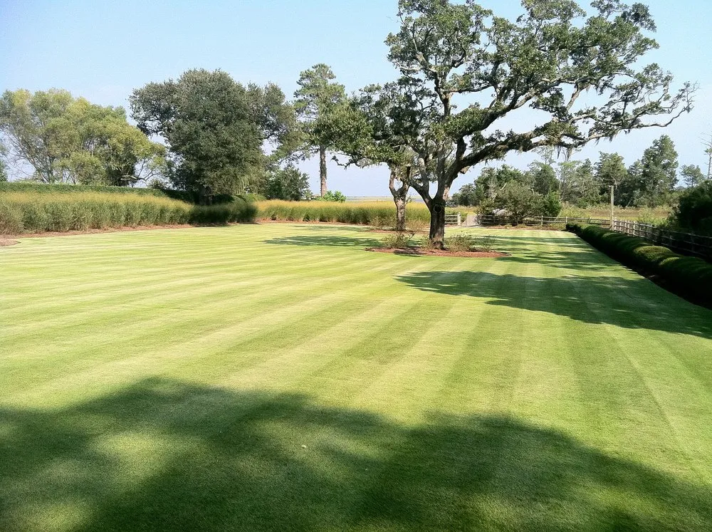 Affordable lawn care service for year-round maintenance in Wilmington, NC by Todd's Lawn and Landscape Care