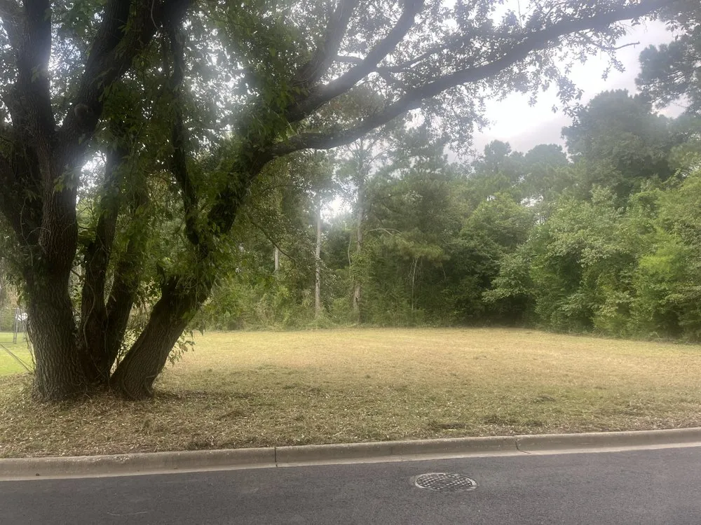 Trusted landscape installation experts serving Albany, GA - Todds Lawn Care