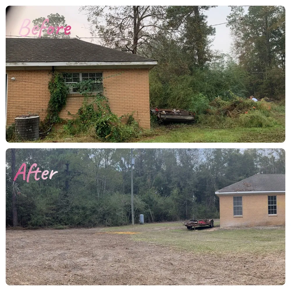 Affordable landscape installation in Albany, GA by Todds Lawn Care