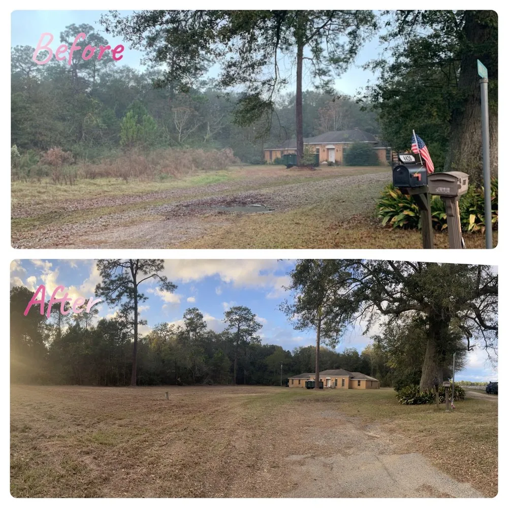 Affordable landscape installation for residential properties across Albany, GA - Todds Lawn Care