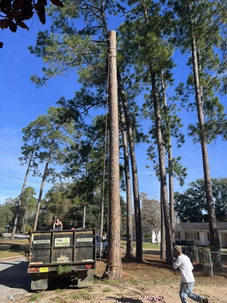 Expert lawn care service in Albany, GA - Todds Lawn Care