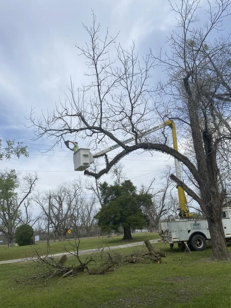 Top-rated outdoor landscaping in Albany, GA - Todds Lawn Care