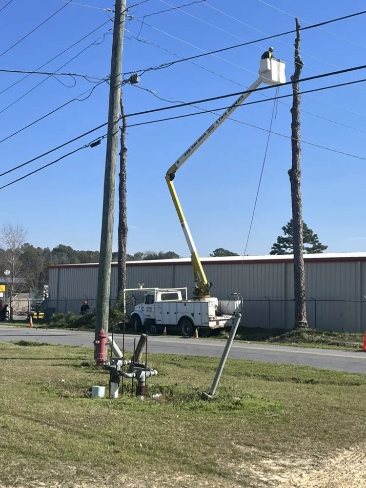 Professional lawn care service in Albany, GA by Todds Lawn Care