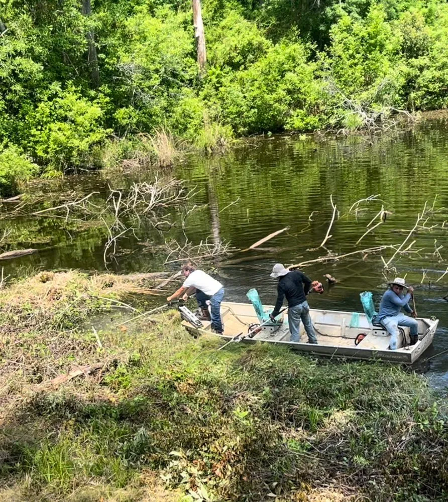 Local yard maintenance for homes across Albany, GA - Todds Lawn Care