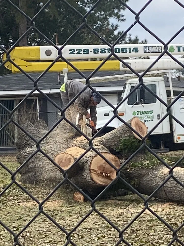 Professional residential landscaping experts serving Albany, GA - Todds Lawn Care