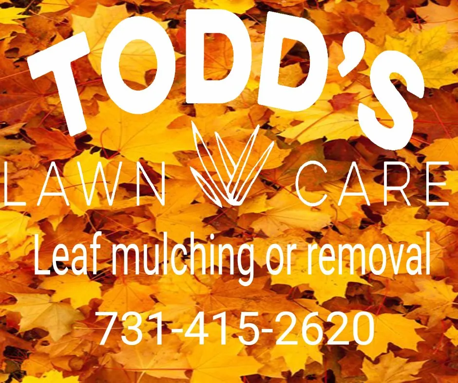 Affordable yard maintenance in Huntingdon, TN by Todd's Lawn Care