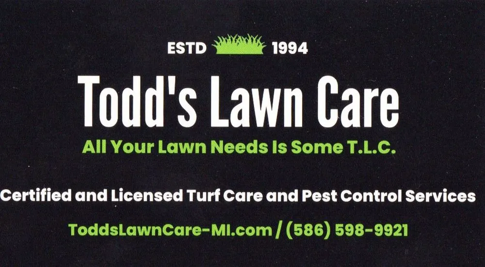 Professional landscape installation for outdoor upgrades across Macomb, MI - Todd's Lawn Care
