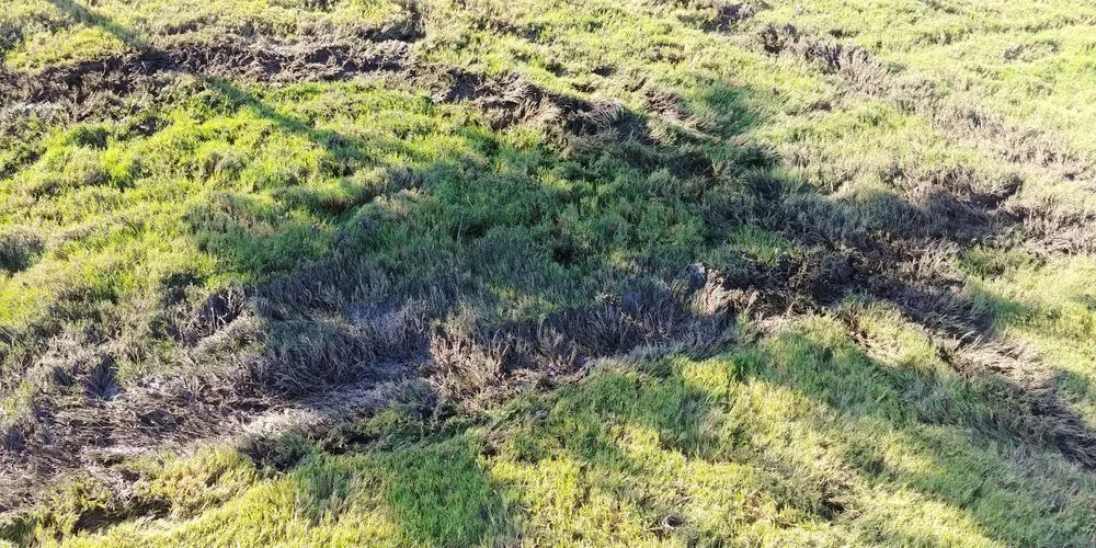 Top-rated landscape installation in Wylie, TX - Todds Lawn Care