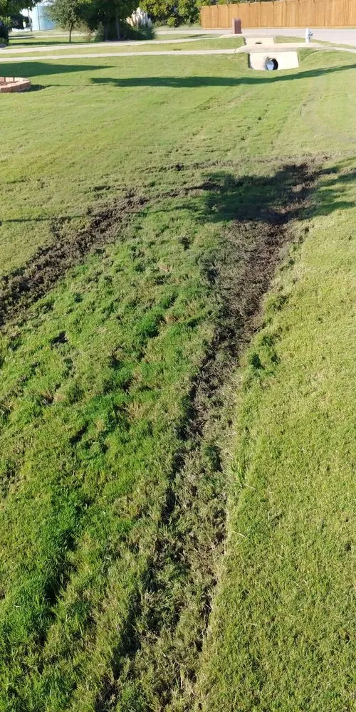 Trusted yard cleanup service near you in Wylie, TX by Todds Lawn Care