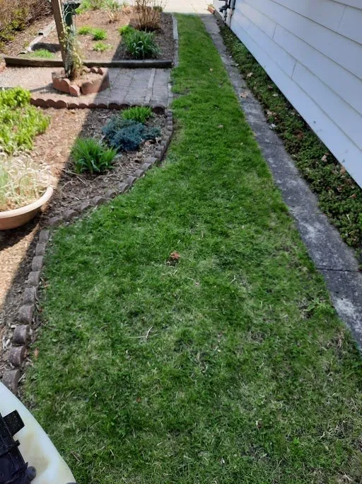 Trusted garden landscaping experts serving Sanford, MI - Todd's Lawn Maintenance