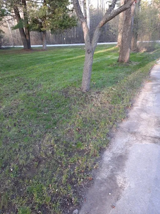 Reliable residential landscaping with custom design in Sanford, MI by Todd's Lawn Maintenance